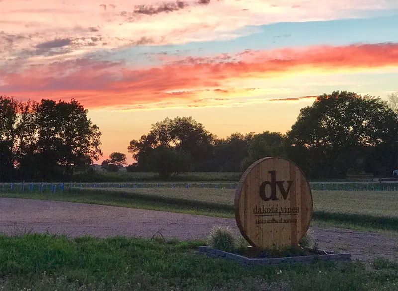 Dakota Vines Vineyard & Winery barrel sign at sunset with rows of vines behind