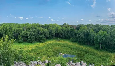 Lush green meadow and dense forest canopy under a blue summer sky