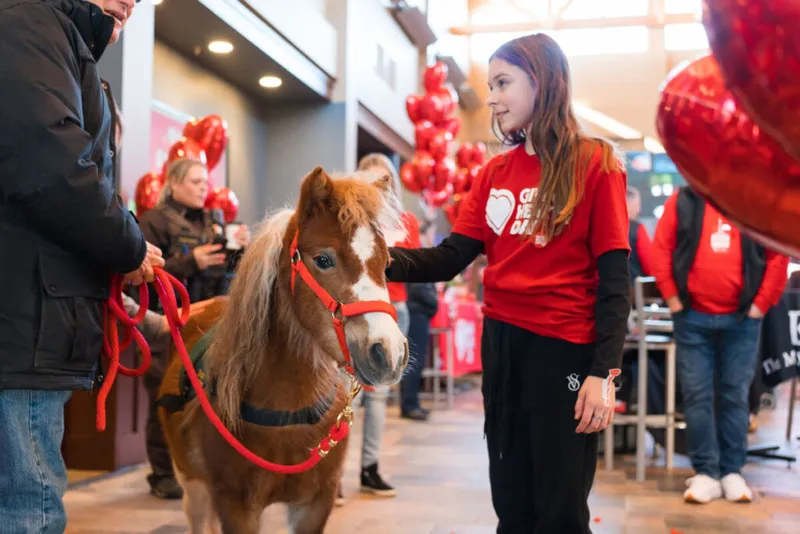 Girl in red Giving Hearts Day shirt petting a small pony amid red heart balloons indoors