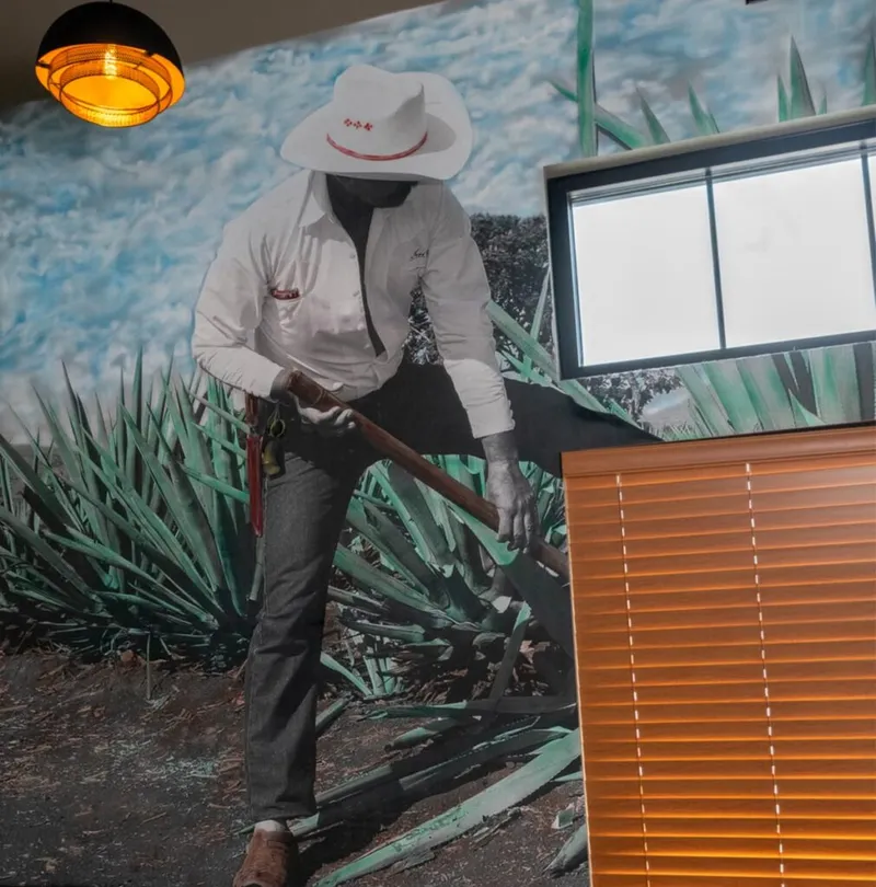 Large wall mural of a worker in a white cowboy hat harvesting agave plants with a long-handled tool