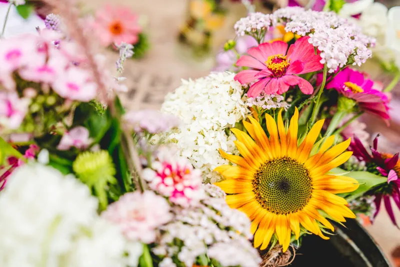 Colorful market bouquet with a bright sunflower, pink zinnias, and white blooms