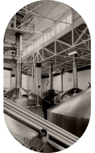 Large stainless steel brewing tanks inside a high-ceilinged industrial brewery