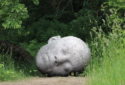 Large stone sculpture of a reclining face nestled in a woodland clearing