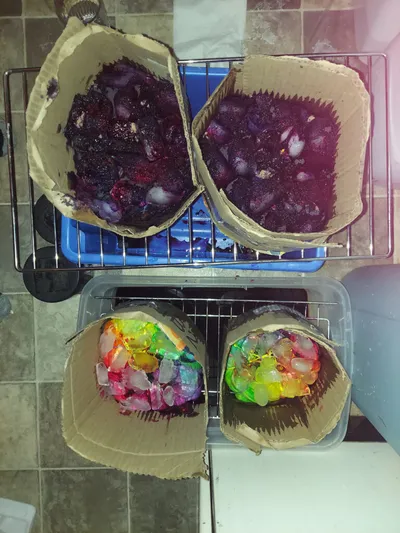 Four cardboard-wrapped fabric bundles on wire racks over tubs, two covered in purple ice dye, two in multicolored ice dye