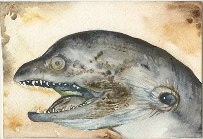 Watercolor painting of two dolphin-like creatures with open jaws and sharp teeth