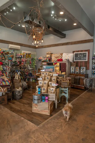 Small fluffy Pomeranian stands on wood floor inside a rustic pet boutique with treat displays and toys