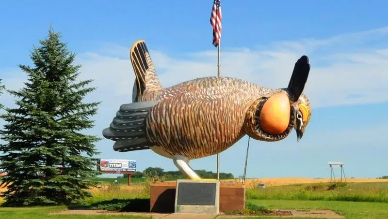 Prairie Chicken