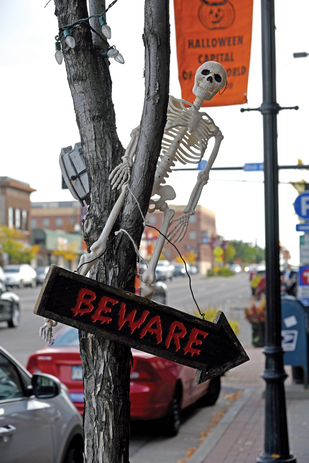 A skeleton hangs from a tree beside a sign that says Beware, with a Halloween Capital of the World banner behind it