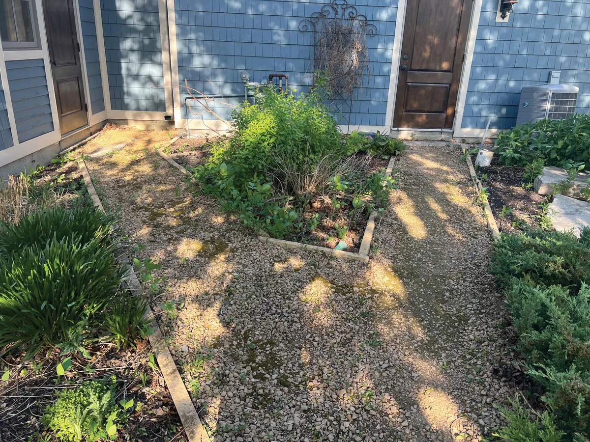 Overgrown raised garden bed surrounded by gravel and weeds beside a blue-shingled house