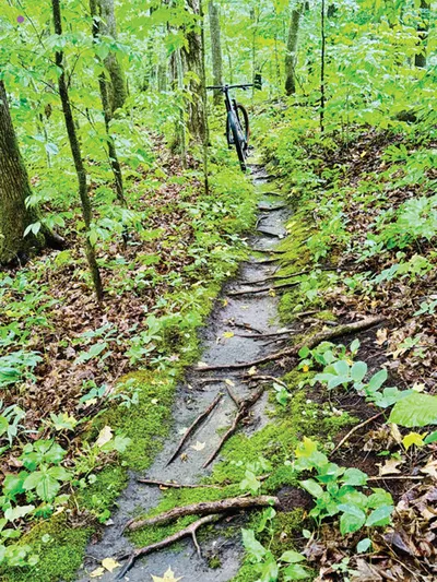 Narrow wooded trail lined with moss and exposed roots, a bicycle parked in background