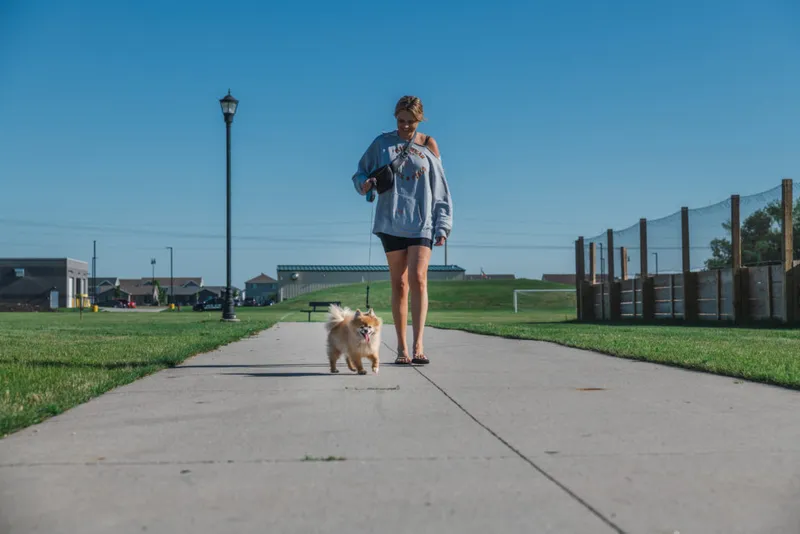 Woman in a gray sweatshirt walking a fluffy tan Pomeranian on a sunny paved path