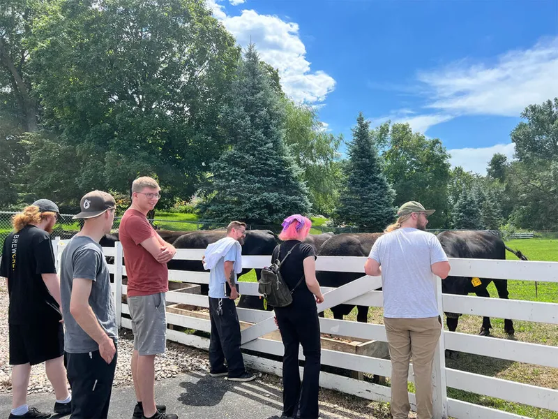 Group of young adults standing at a white fence observing black cattle on a sunny day