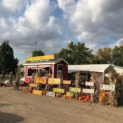 Roadside farm stand with colorful signs reading Locally Grown vegetables and dried corn stalks
