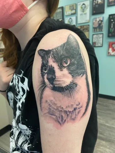 Black and grey realistic cat portrait tattoo on a person's upper arm
