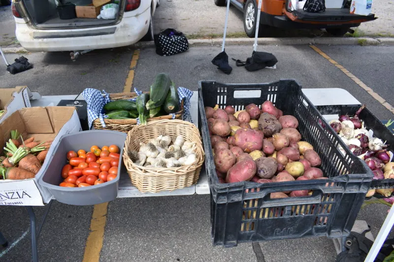 Outdoor market table displaying tomatoes, potatoes, onions, ginger, and zucchini in bins and crates