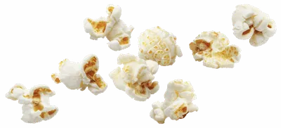 Several pieces of popped popcorn scattered on a white background