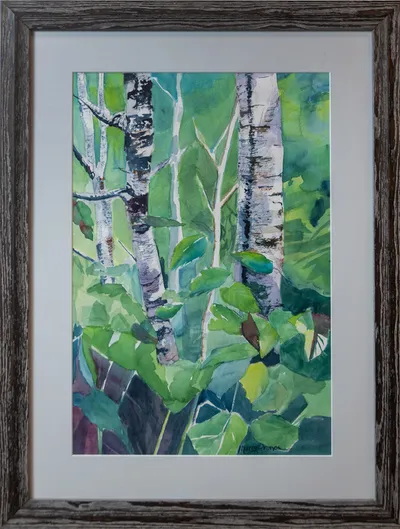 Framed watercolor painting of birch trees amid lush green foliage