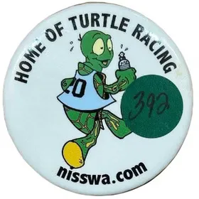 TurtleRacing_Nisswa