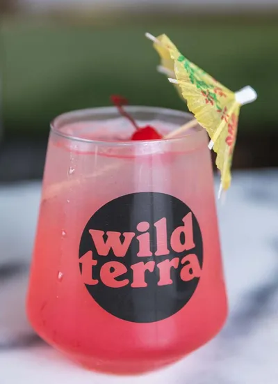 Pink cocktail with maraschino cherry and paper umbrella in a Wild Terra branded stemless glass