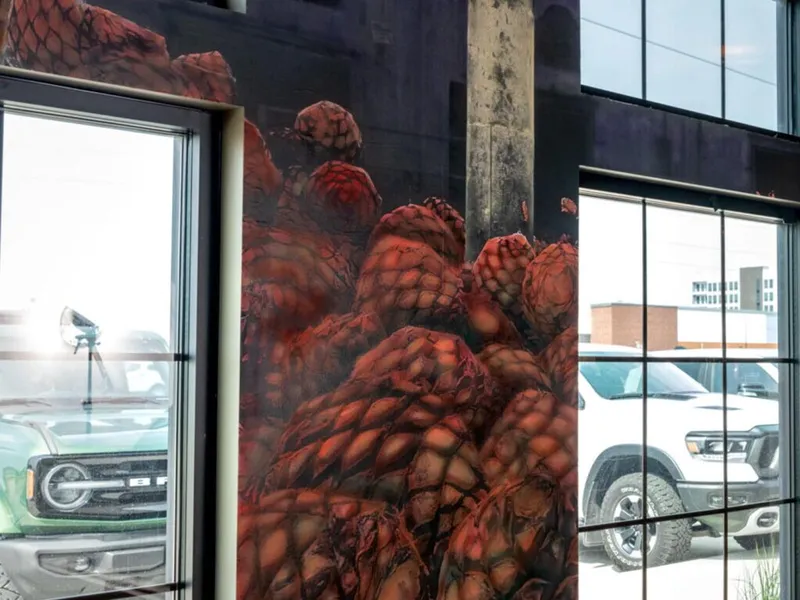 Large mural of roasted agave piñas on a building exterior between glass windows