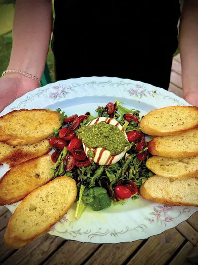 Hands holding a floral plate with burrata, pesto, roasted tomatoes, greens, and toasted crostini