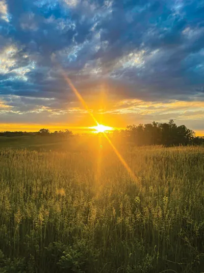 Golden sunset over a tall grass prairie with dramatic cloudy sky