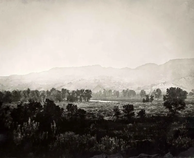 Sepia-toned wet plate photograph of a misty desert valley with scrub and distant mesas