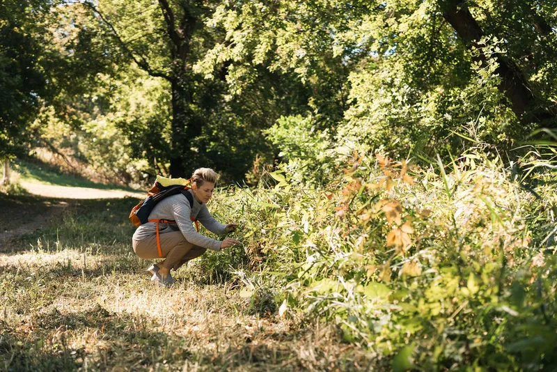 Woman with backpack crouching beside wild shrubs along a sunlit woodland trail