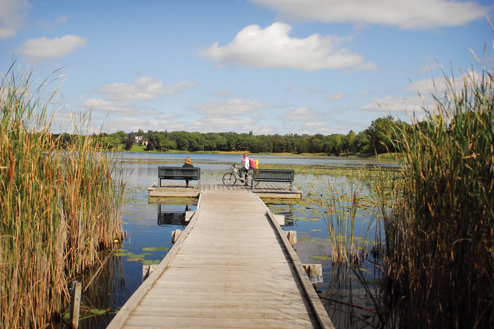 A wooden pier stretches over a lake where two people sit on benches and one rides a bike