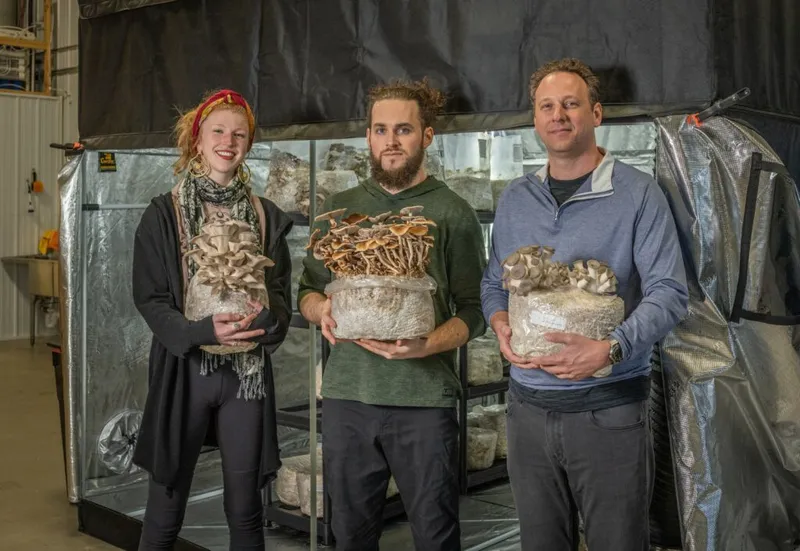Three people each holding a mushroom grow block in front of a reflective grow tent