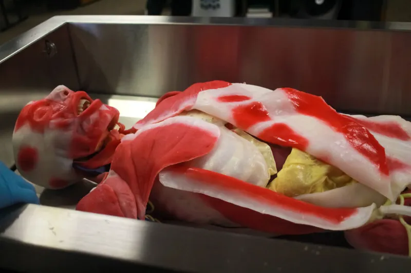 Gory Halloween-style prop of a dissected humanoid figure lying in a metal tray