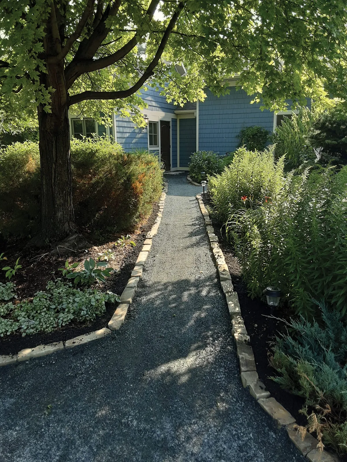 Gravel walkway edged with stone leading to a blue shingle home amid lush shrubs and trees