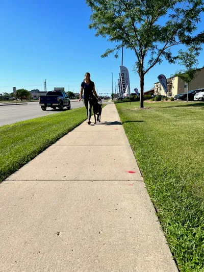 Woman walking a dark-colored dog on a suburban sidewalk on a sunny day