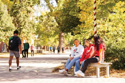 Two students sitting on a campus bench beneath yellow autumn trees
