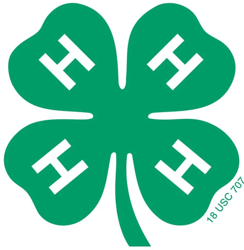 4-H four-leaf clover logo in green with four white H letters