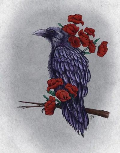 Illustrated purple raven perched on a branch surrounded by red poppies