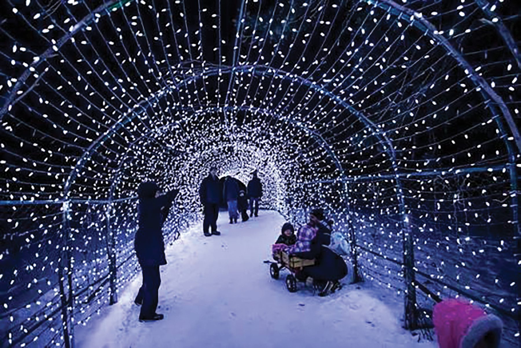 Frostival