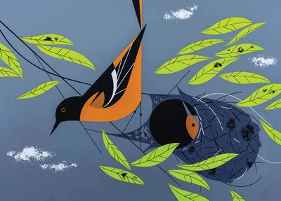 Stylized illustration of two orioles perched among green leaves on a gray background