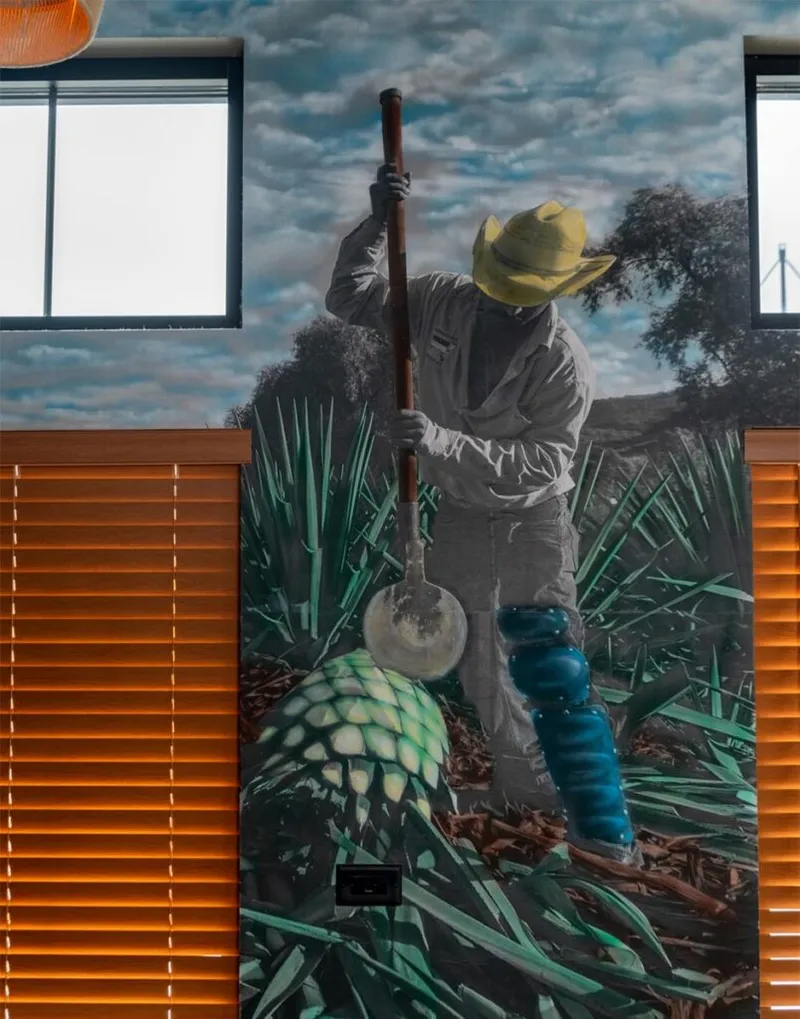 Wall mural of a jimador in a yellow hat harvesting agave with a long-handled tool