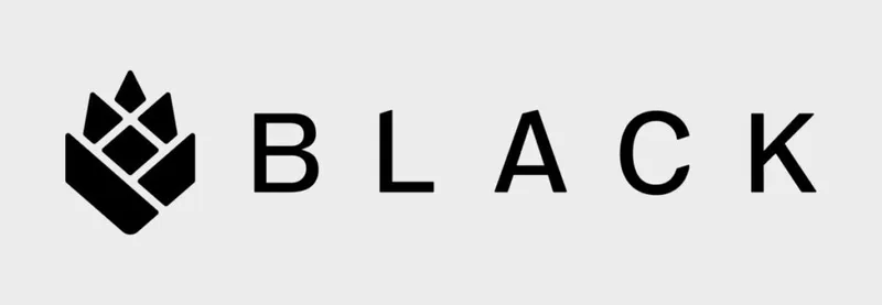 Black logo with geometric shield icon beside the word BLACK