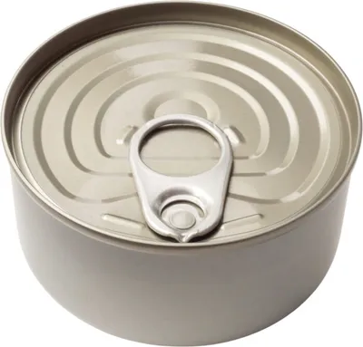 Small silver pull-tab tin can viewed from above at an angle
