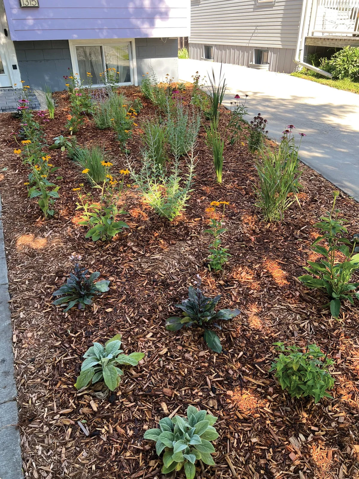 Front yard garden bed with wildflowers and mulch in front of a house