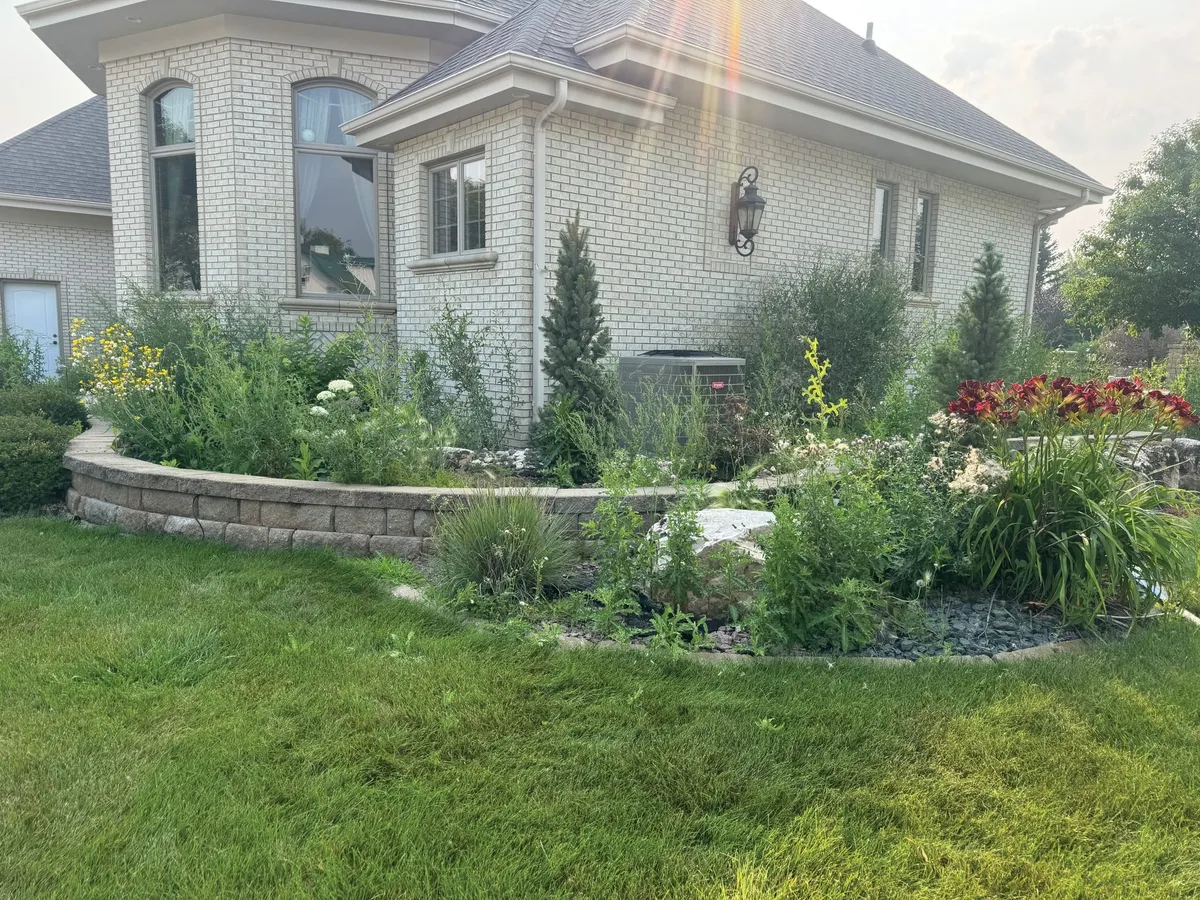 Overgrown front garden bed with mixed plantings beside a white brick house