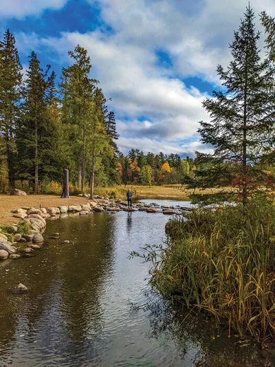 Person standing on rocks beside a calm woodland stream with autumn foliage