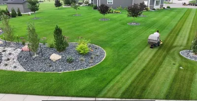 Person riding a mower cutting striped patterns into a large green lawn with landscaped garden beds