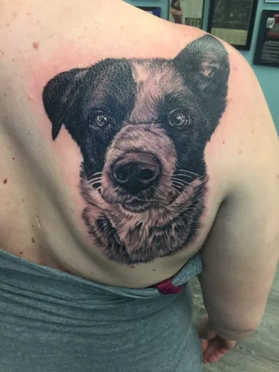 Realistic black-and-grey dog portrait tattoo on a person's upper back