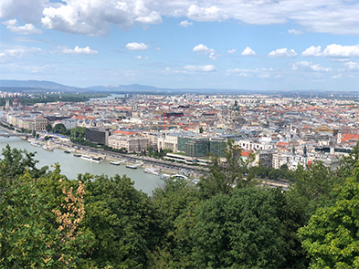 Aerial view of a European city along a wide river, framed by green treetops