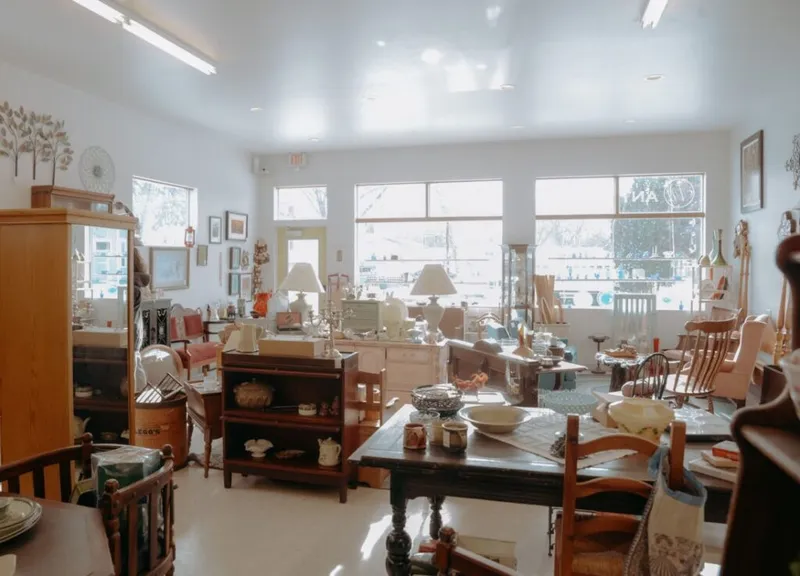 Sunlit consignment shop interior filled with antique furniture, lamps, and tableware