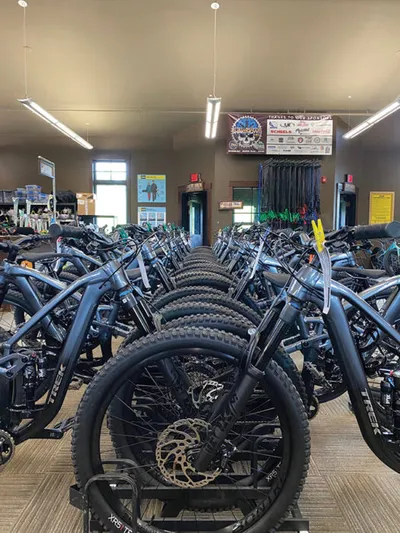 Rows of fat-tire bikes lined up inside a retail shop