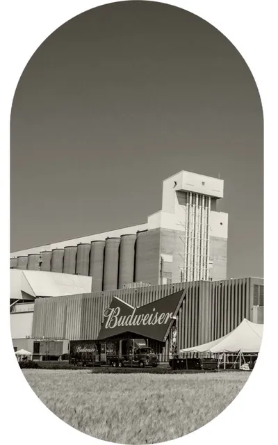 Budweiser-branded building and delivery truck beside large grain silos in a flat field